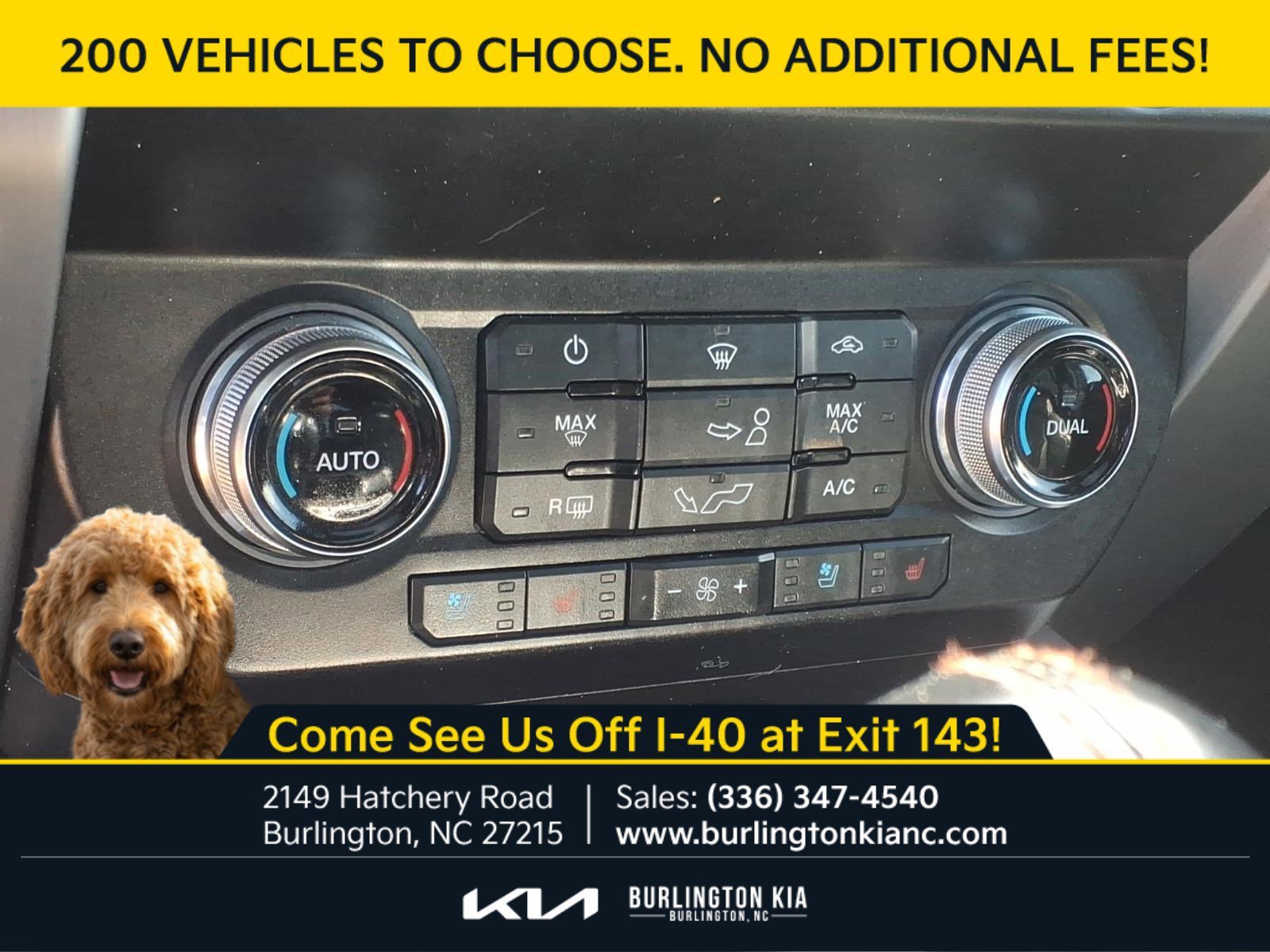 Used 2020 Blue Ford Platinum image 15