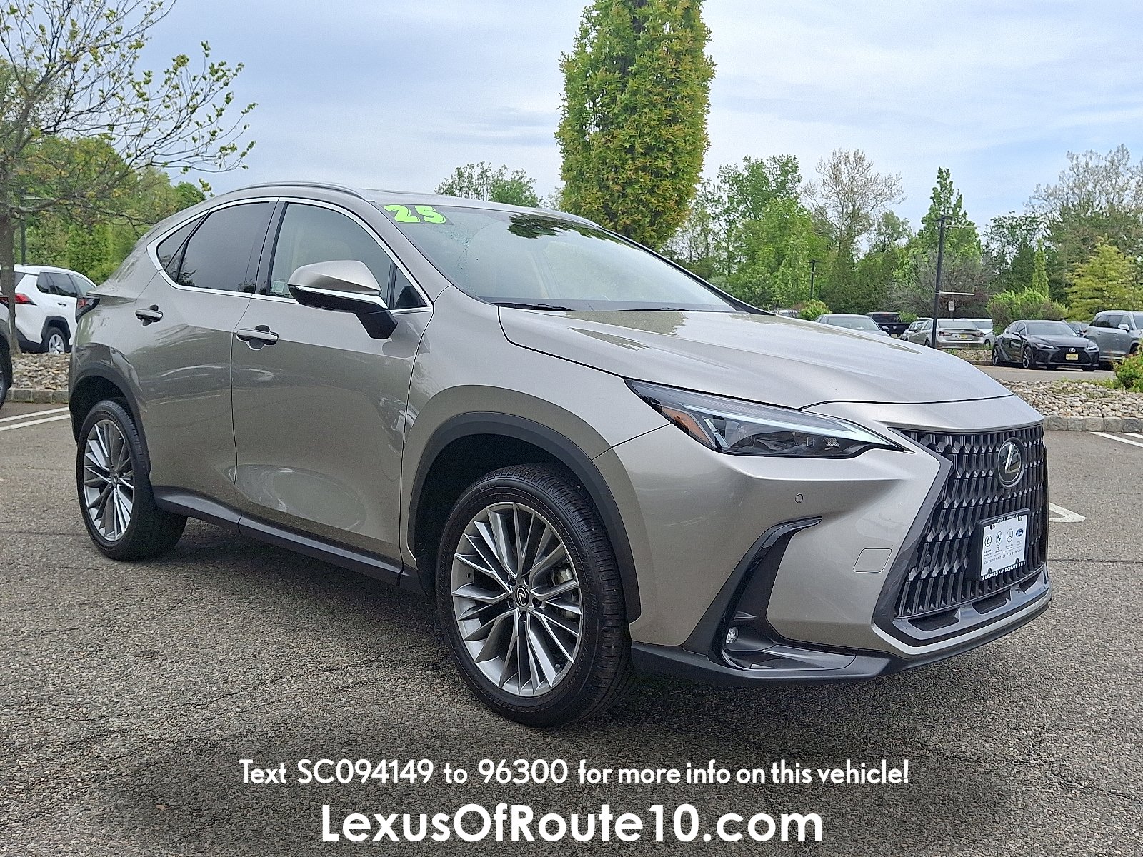 2025 Lexus NX 350 350 Premium AWD's photo