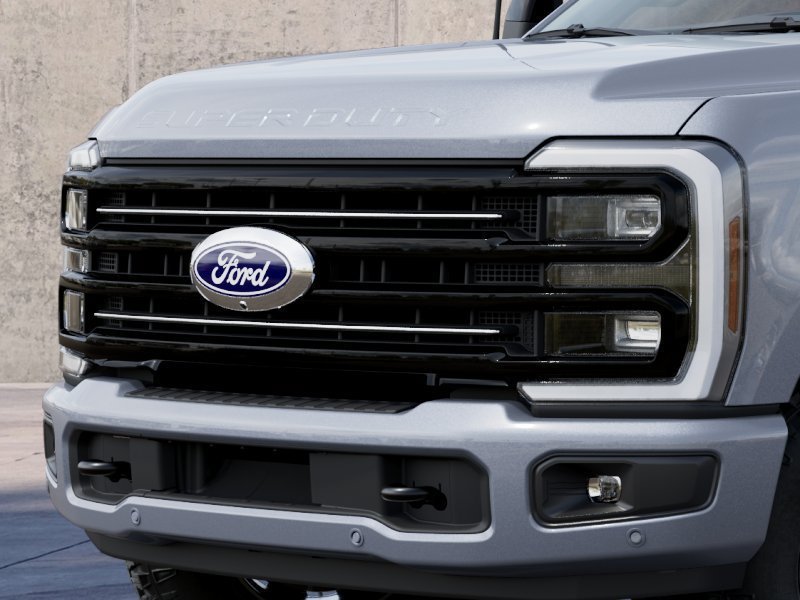 New 2027 Gray Ford Platinum image 17