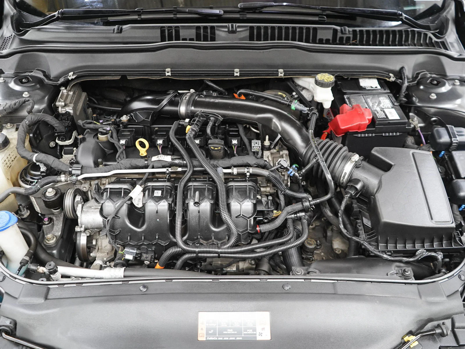 Used 2020 Magnetic Ford SE image 29