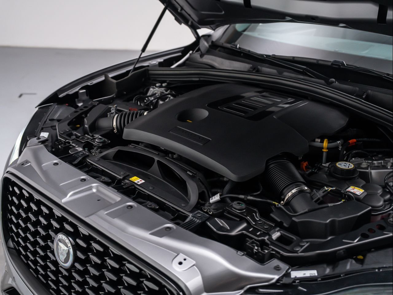 2025 Jaguar F-PACE R-Dynamic S - Photo 11