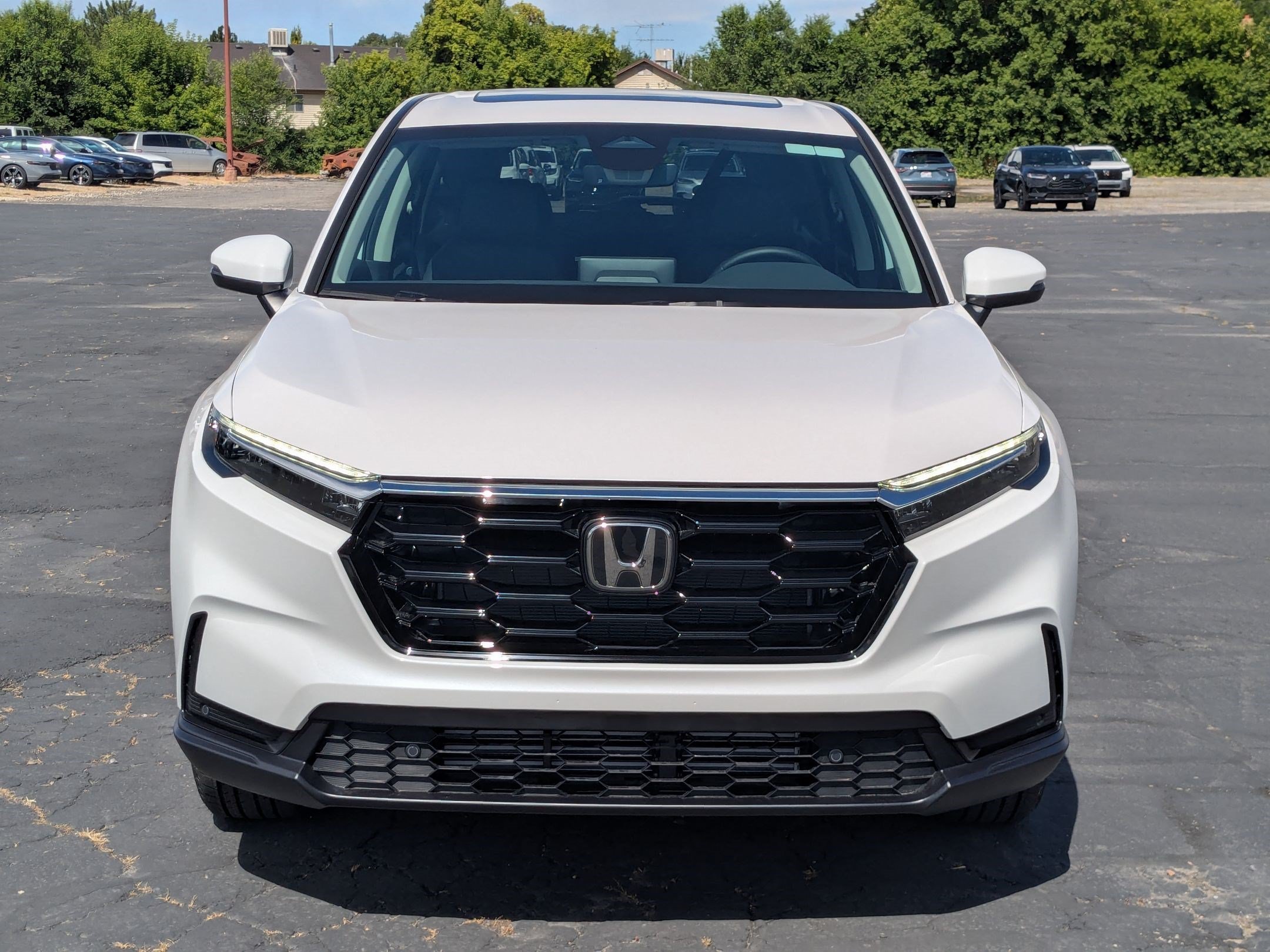 New 2026 Platinum White Pearl Honda EX-L image 9