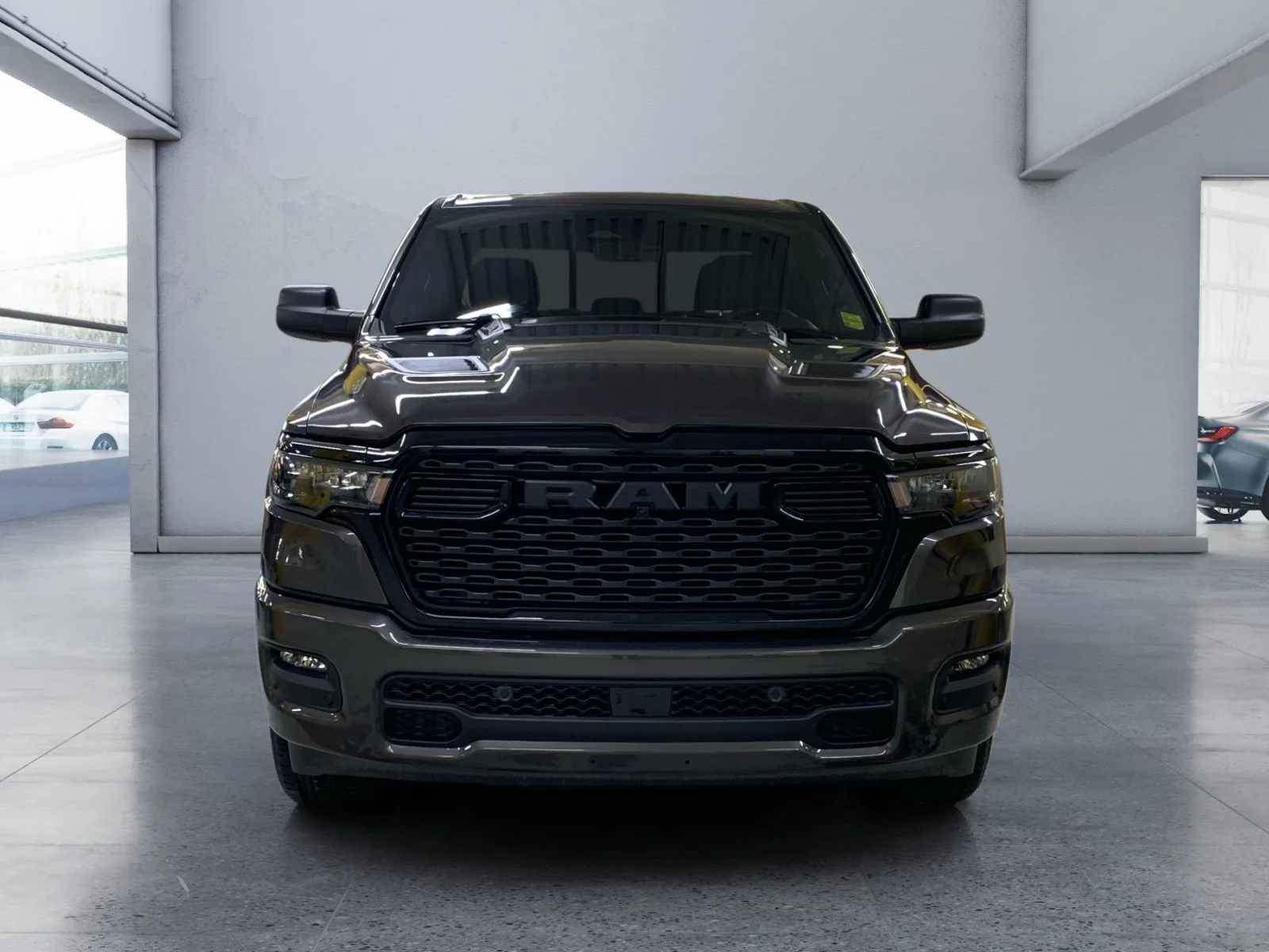 New 2026 Granite Crystal Metallic Ram Express image 8