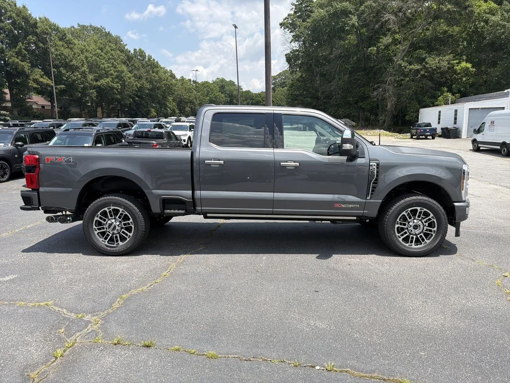 New 2026 Gray Ford Platinum image 8