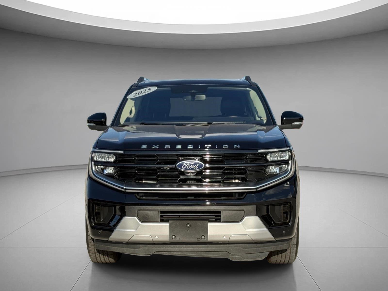 Used 2025 Agate Black Ford Platinum image 10