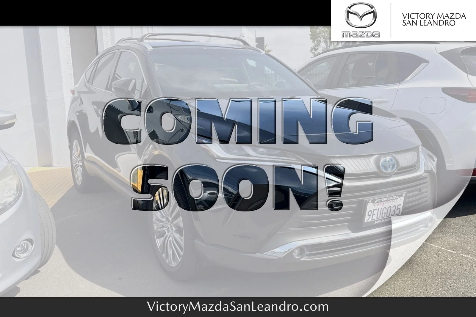 2023 Toyota Venza XLE Hybrid AWD's photo