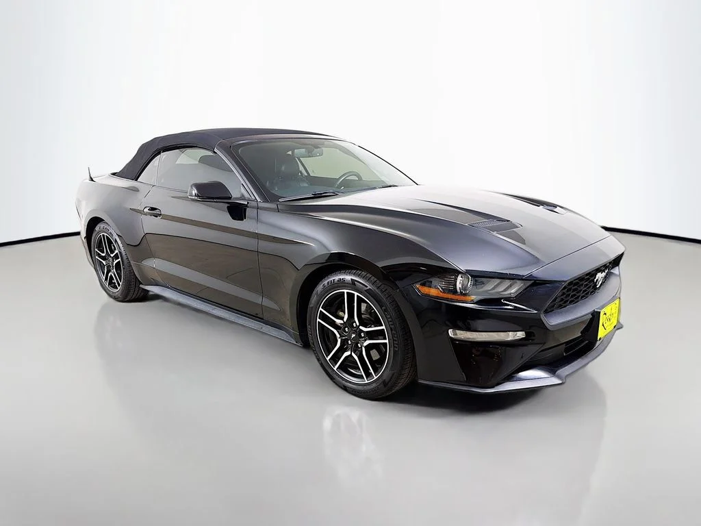 Used 2019 Black Ford EcoBoost Premium image 4