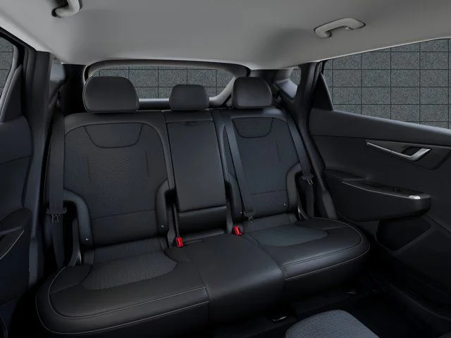 New 2025 Panthera Metal Kia Light RWD image 16