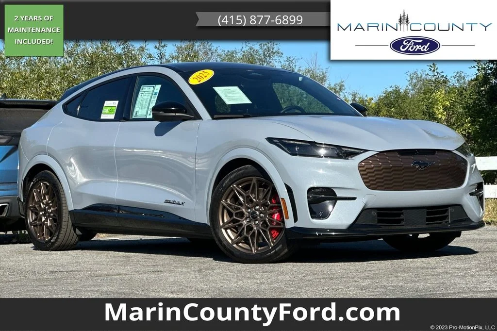 2025 Ford Mustang-Mach-e GT's photo