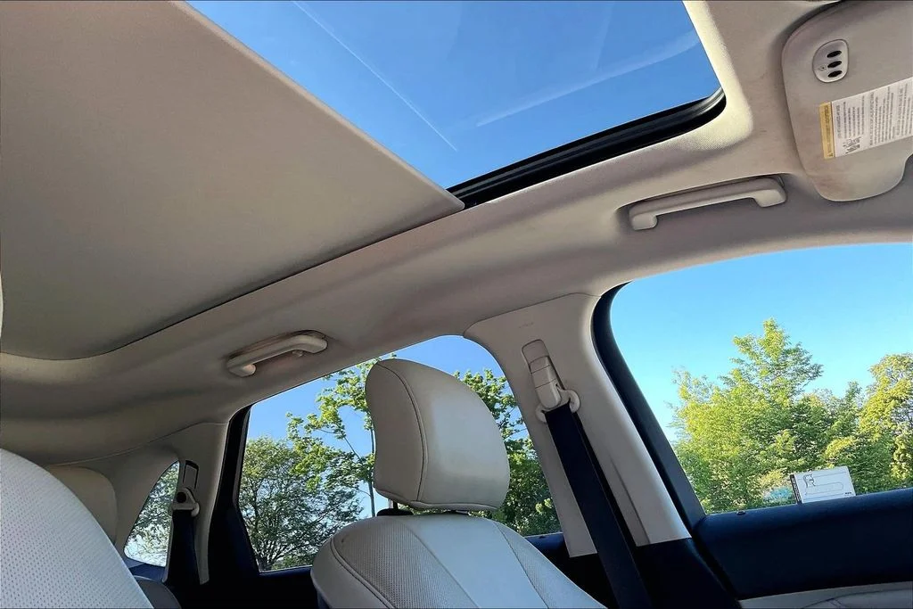 Used 2017 Blue Ford Titanium image 21