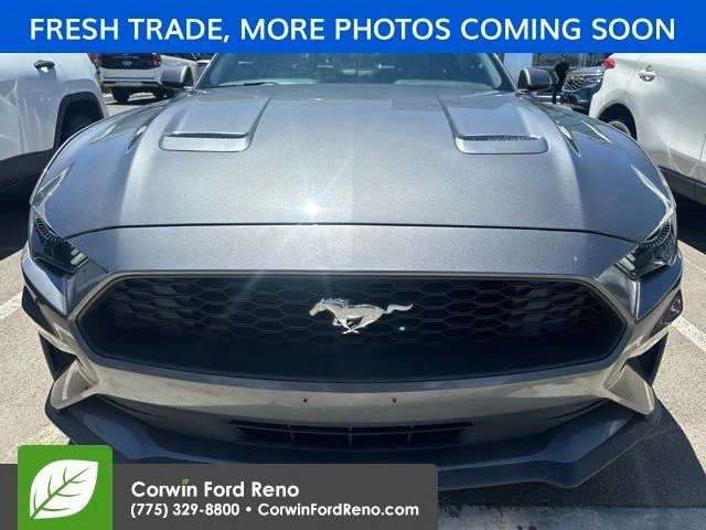 Used 2023 Gray Ford EcoBoost Premium image 2