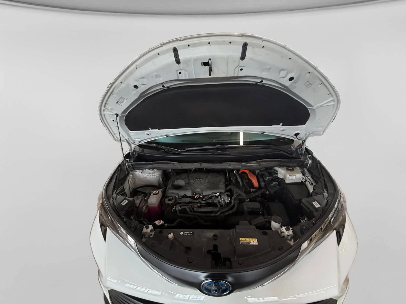 Used 2024 Ice Cap Toyota LE image 24