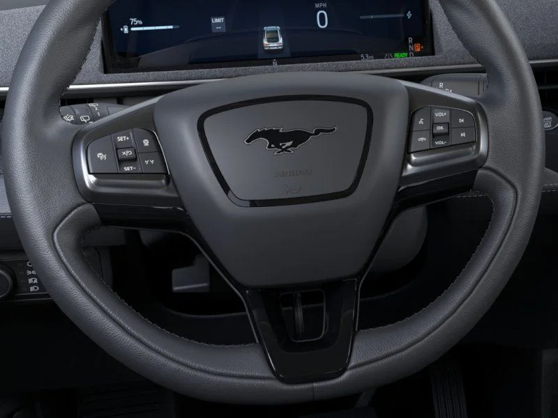 New 2026 Shadow Black Ford Select image 12