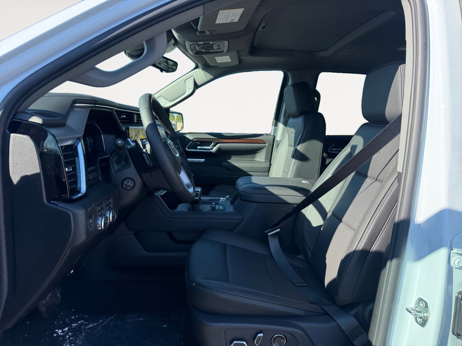 2026 GMC Sierra 1500 Denali - Photo 10