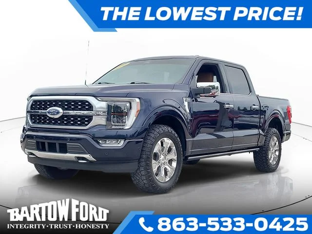 Used 2022 Blue Ford Platinum image 1