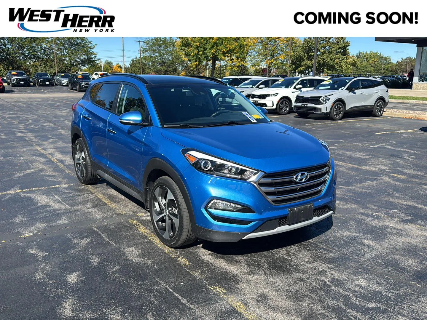 Used 2017 Caribbean Blue Hyundai Limited image 1