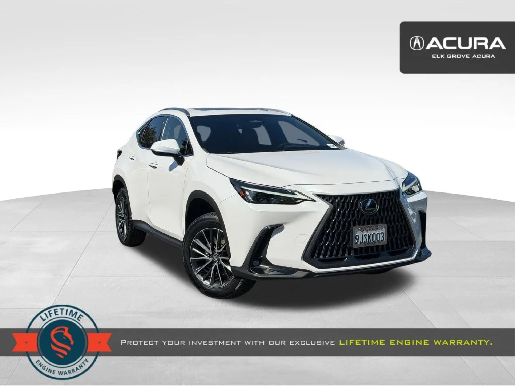 2024 Lexus NX