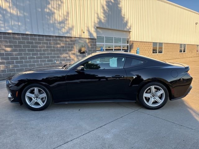 New 2026 Shadow Black Ford EcoBoost Premium image 9