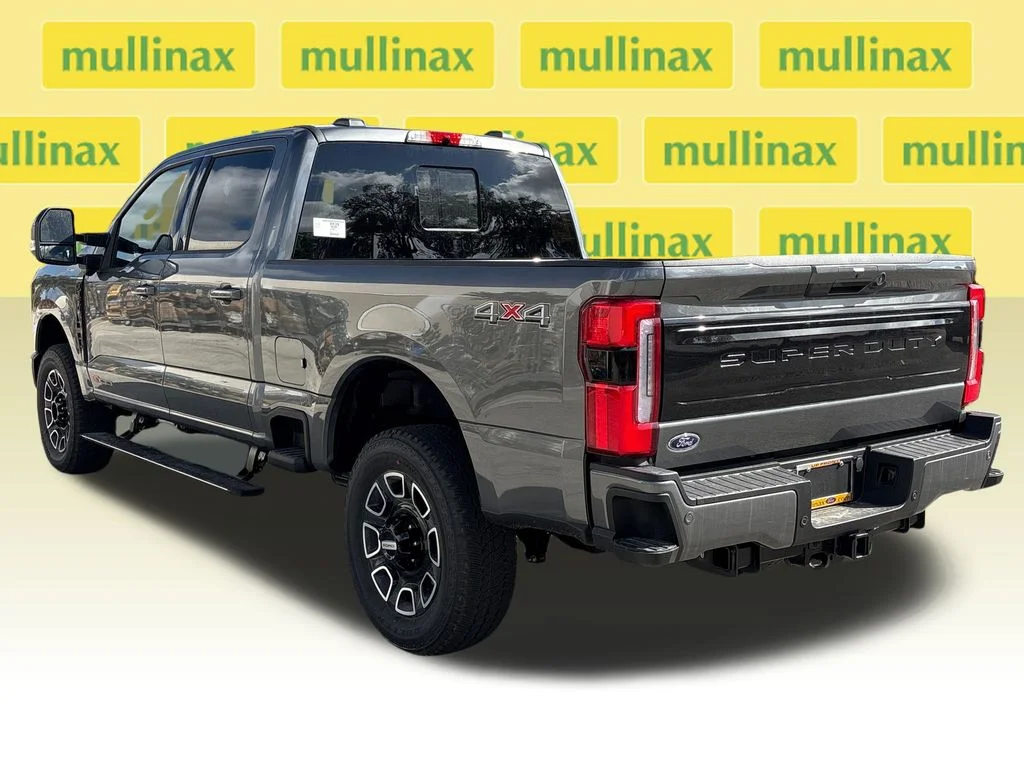New 2026 Gray Ford Platinum image 11