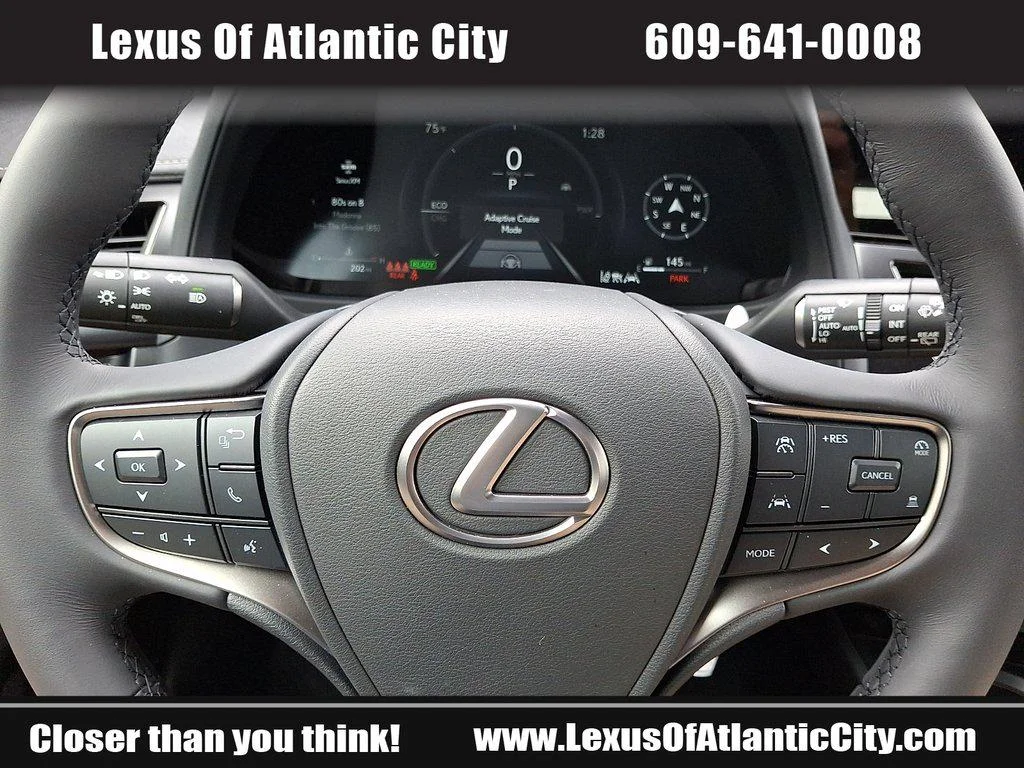 2025 Lexus UX Hybrid 300h Premium - Photo 19