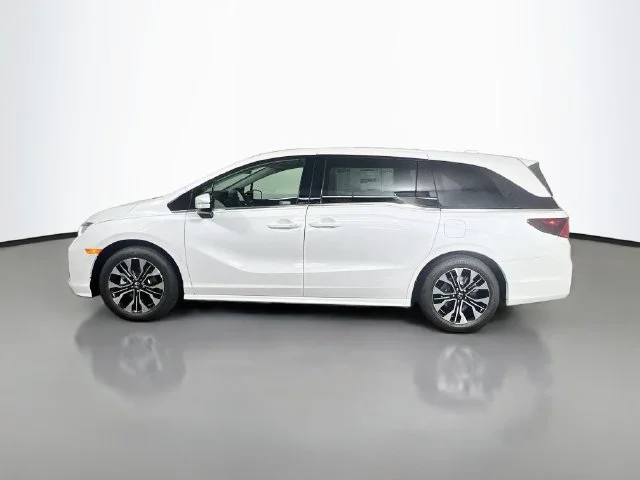 New 2027 Platinum White Pearl Honda Elite image 5