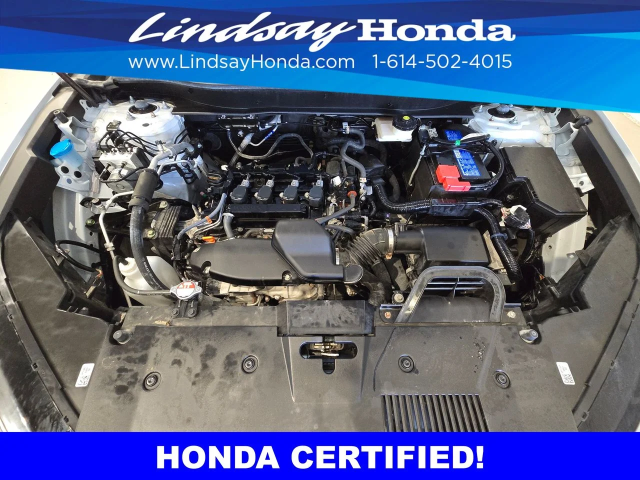 Certified Used 2023 Platinum White Pearl Honda EX image 25