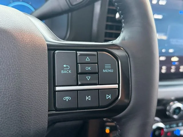 New 2026 Black Ford Platinum image 18