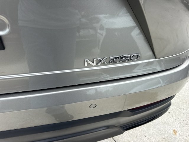 2025 Lexus NX 250 - Photo 25