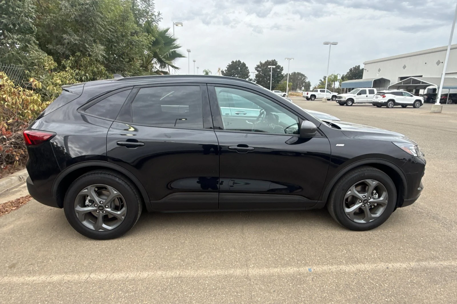 Used 2025 Black Ford ST-Line image 3
