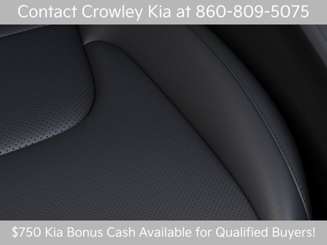 New 2027 Ebony Black Kia EX image 24