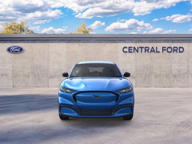 New 2026 Velocity Blue Metallic Ford Premium image 6