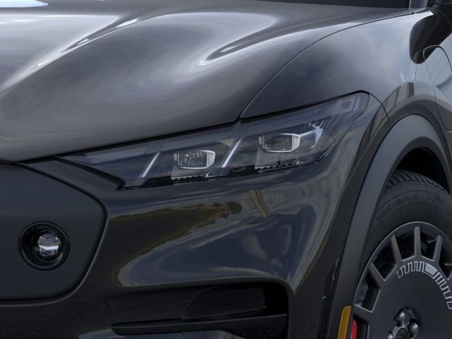 New 2026 Shadow Black Ford GT image 18