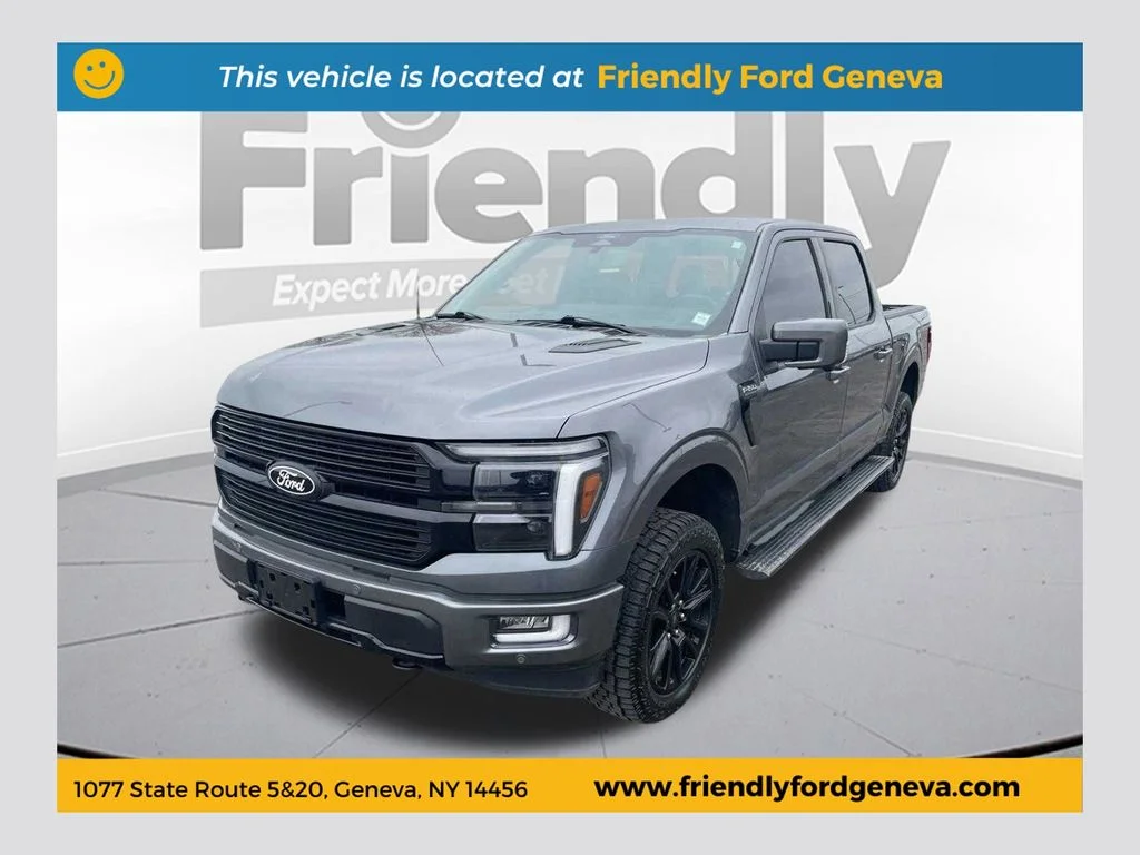 Used 2024 Gray Ford Platinum image 1