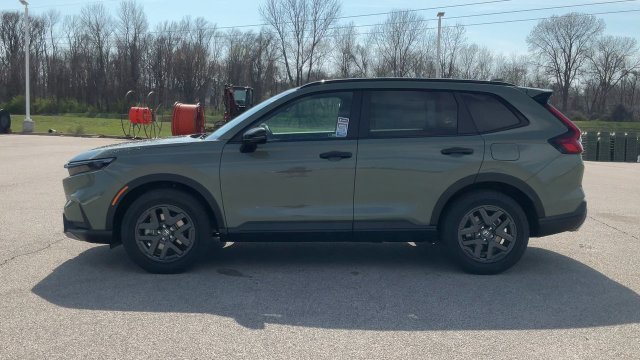 New 2027 Ash Green Metallic Honda TrailSport image 5