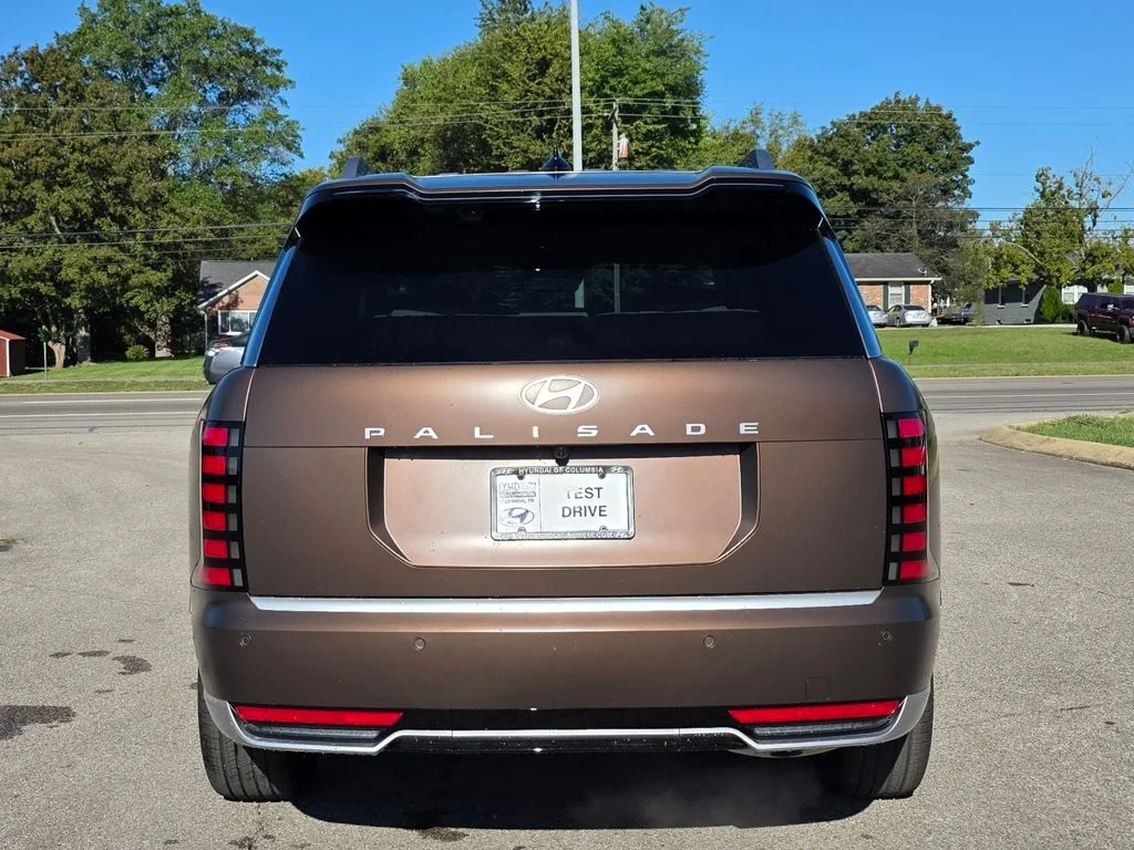 New 2026 Earthy Brass Matte Hyundai Calligraphy image 7