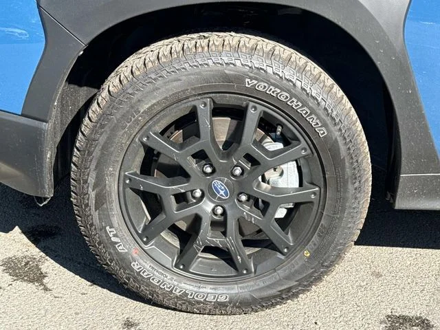 Used 2026 Blue Subaru Wilderness image 12