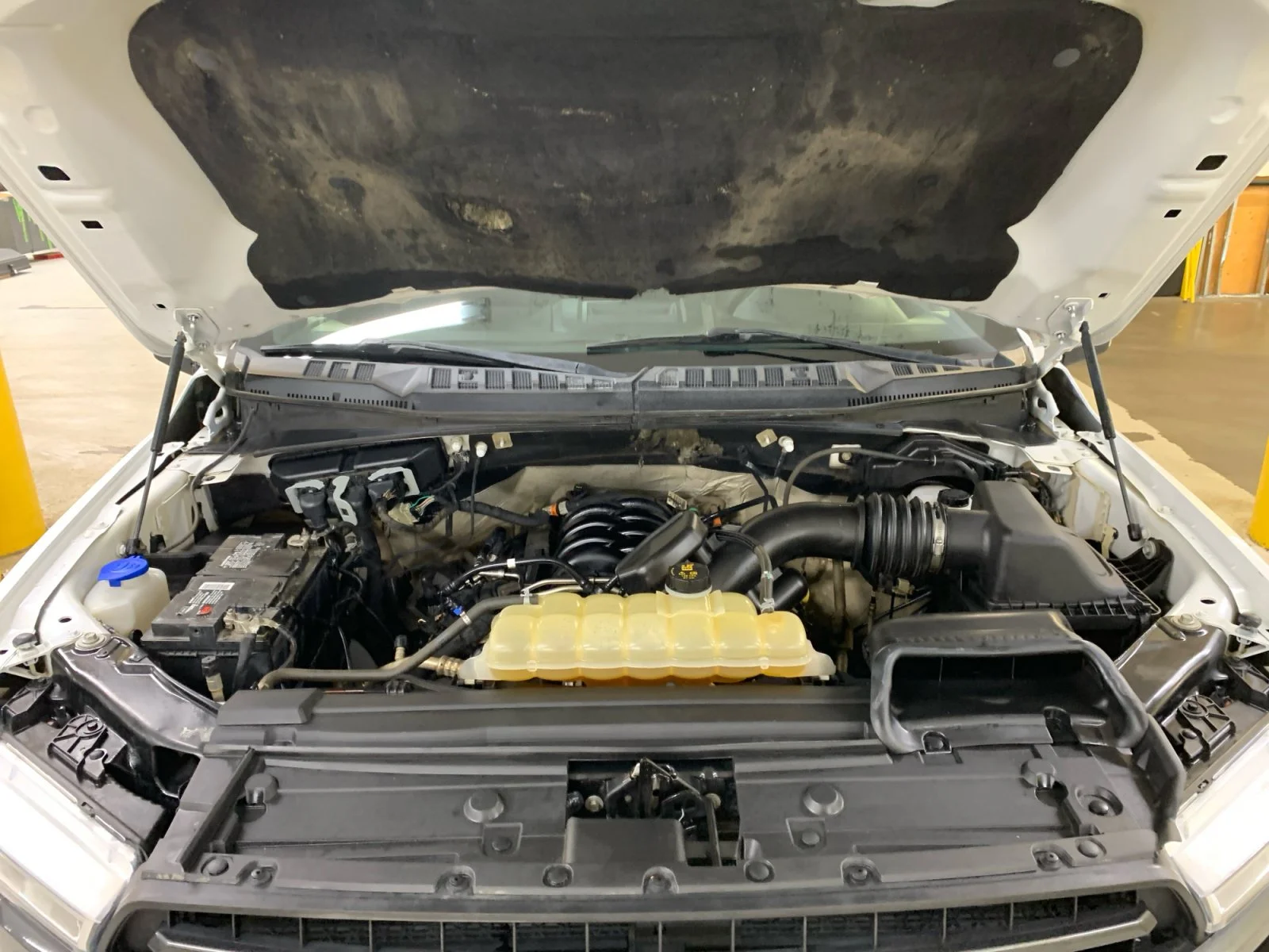 Used 2019 White Ford XLT image 20