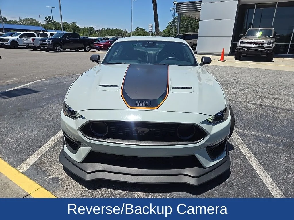 Used 2022 Fighter Jet Gray Ford Mach 1 image 3