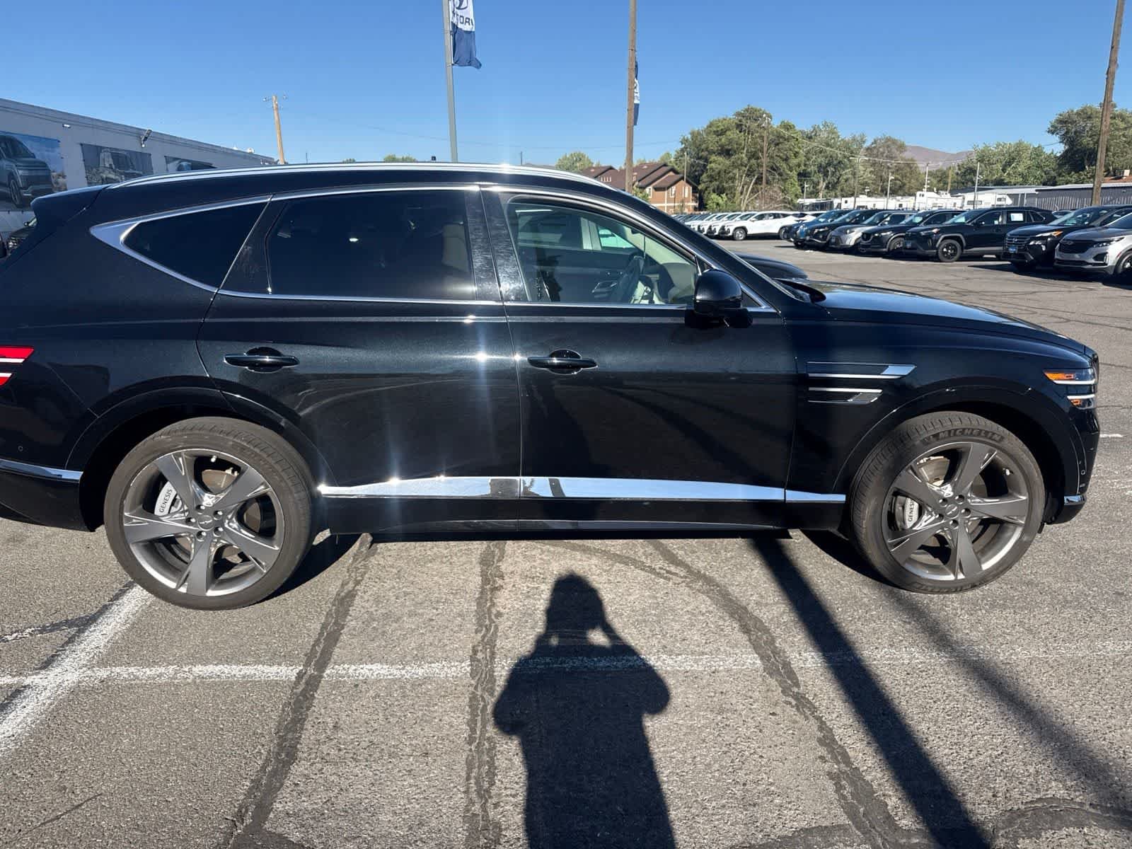 Used 2024 Vik Black Genesis  image 6