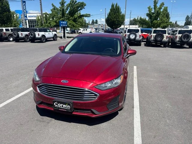 Used 2019 Ruby Red Metallic Ford SE image 3