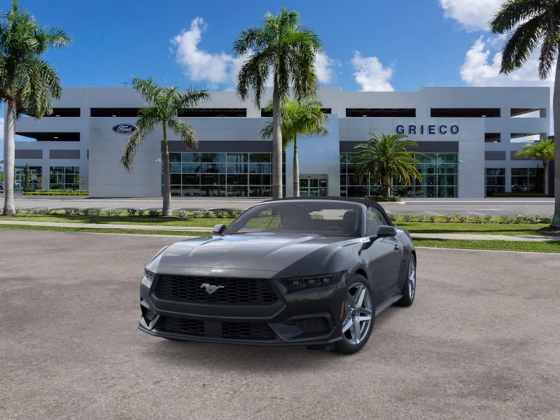 New 2026 Shadow Black Ford EcoBoost® Premium Convertible image 3