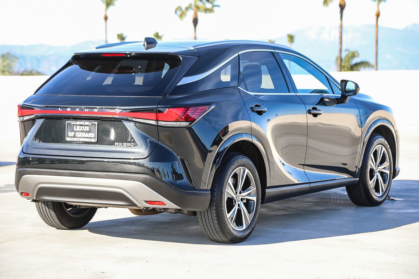 2024 Lexus RX 350 - Photo 6