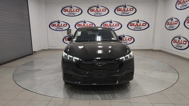 New 2026 Shadow Black Ford Premium image 4