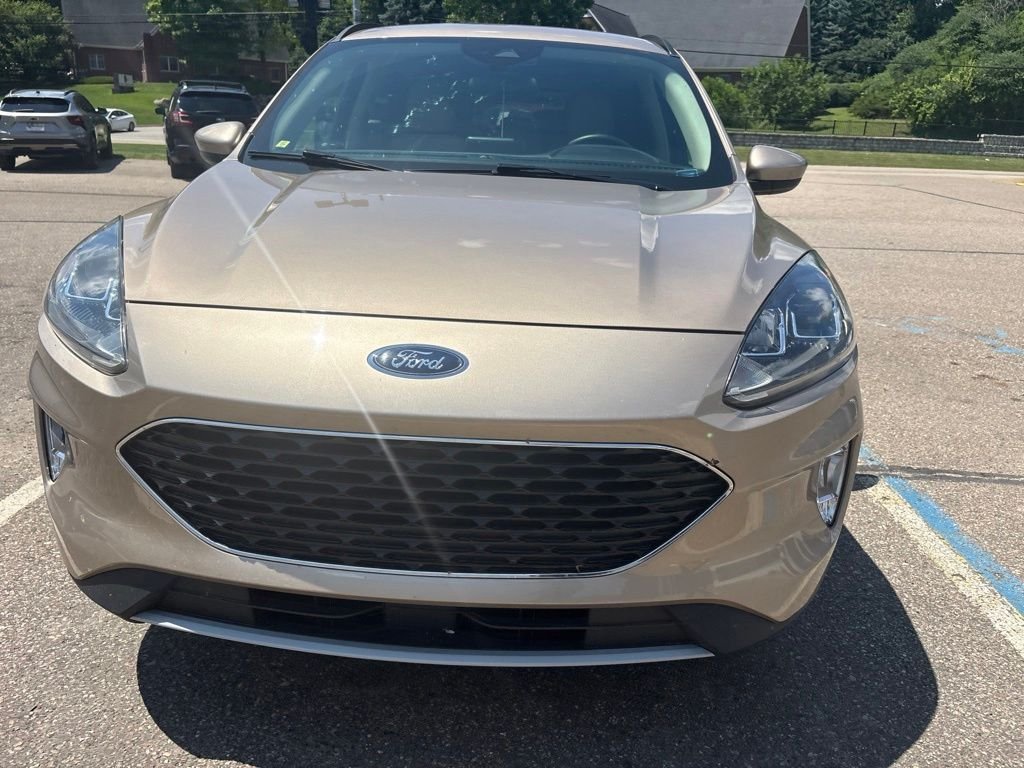 Used 2020 Desert Gold Metallic Ford SEL image 2