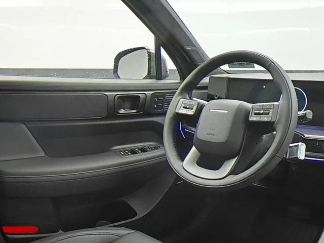 New 2026 Gray Hyundai Calligraphy image 33