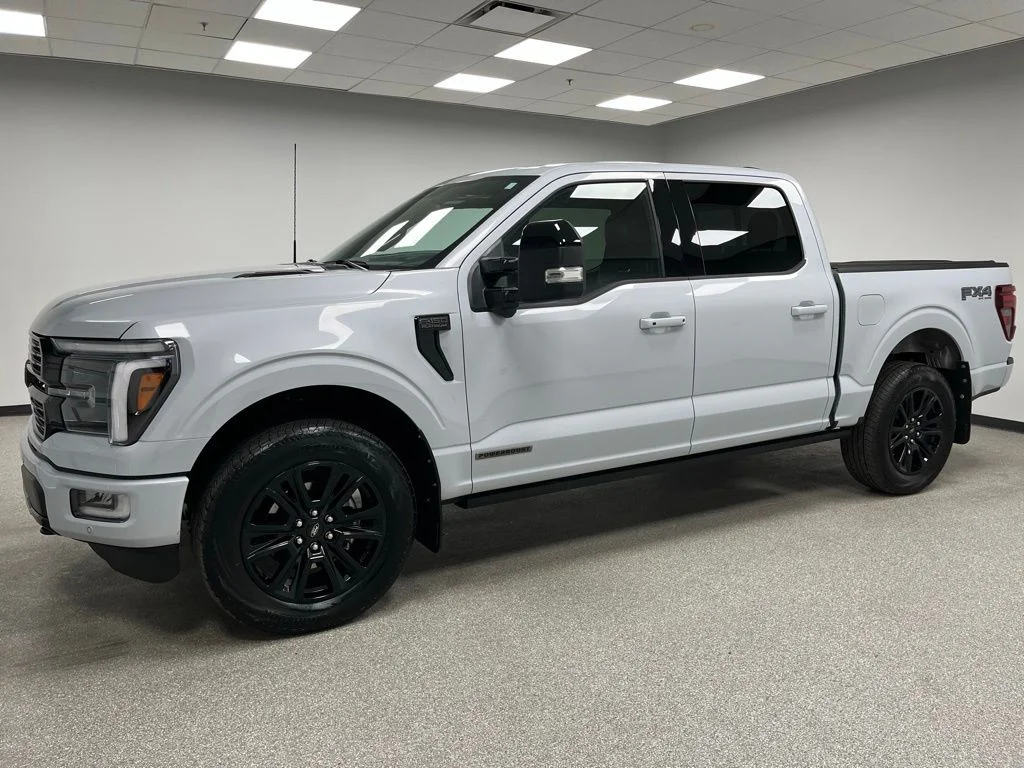 Used 2025 Gray Ford Platinum image 6