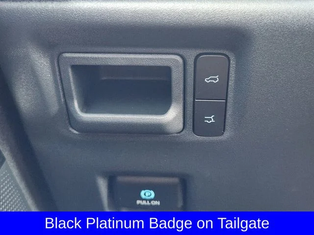 New 2027 Dark Matter Gray Metallic Ford Platinum image 21
