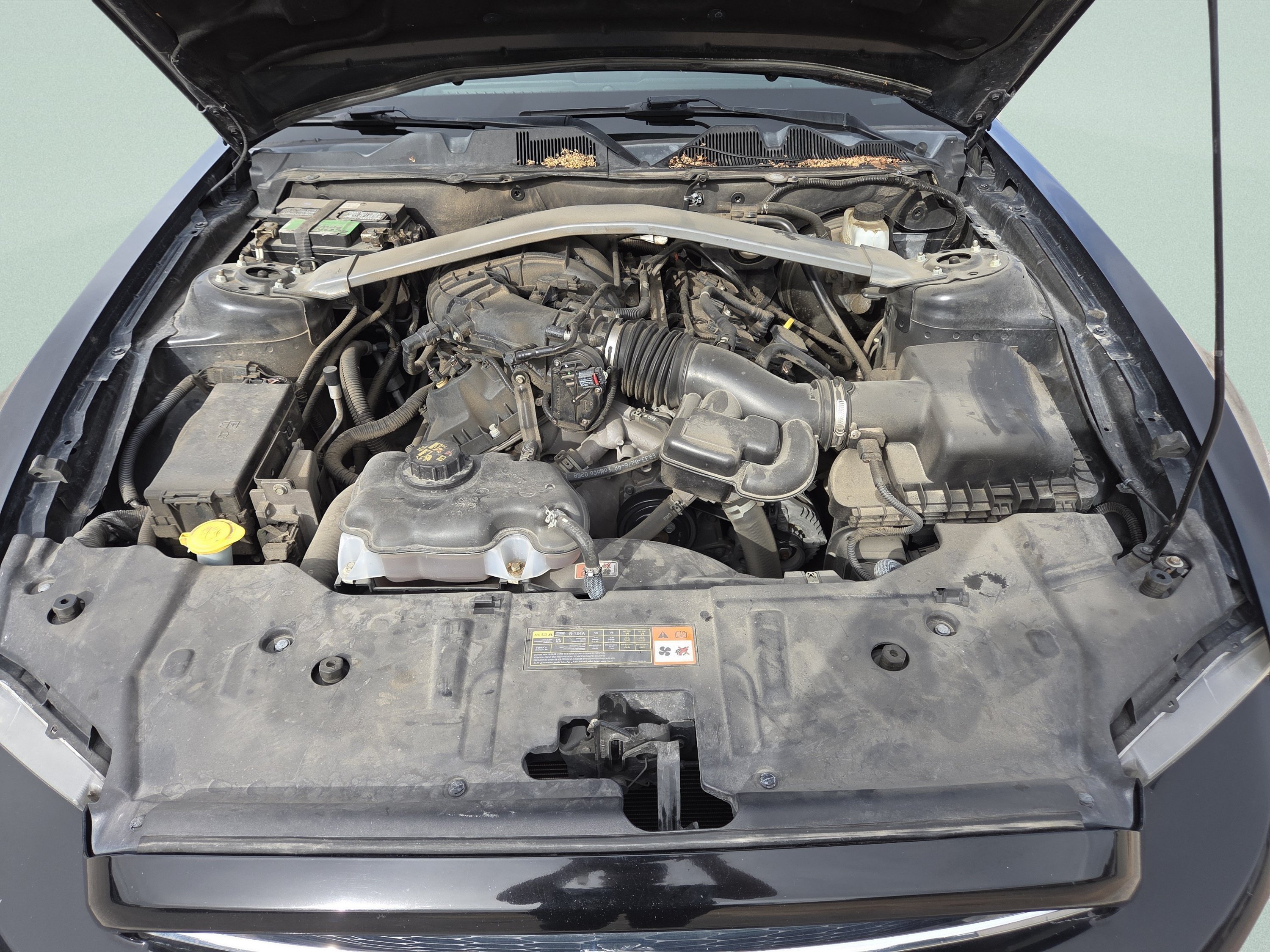 Used 2014 Black Ford V6 image 17