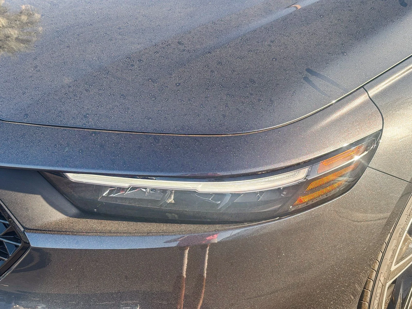 New 2026 Meteorite Gray Metallic Honda SE image 8