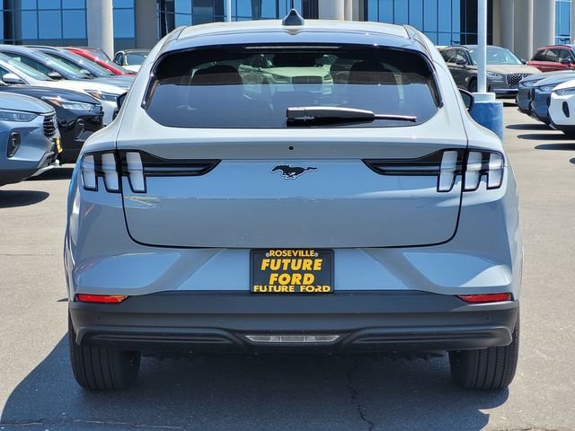 New 2026 Gray Ford Premium image 5